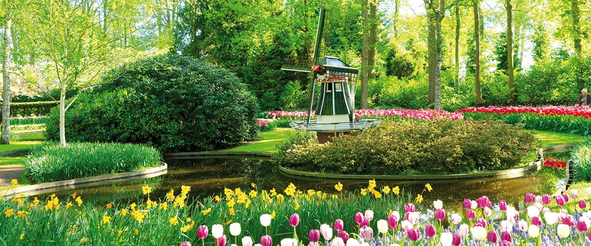 Tulips and a mini windmill in the Keukenhof Gardens, Netherlands